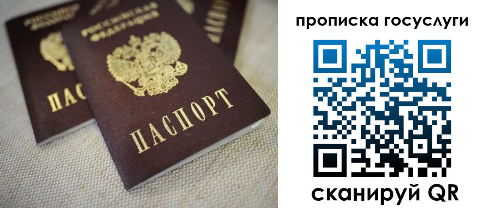 временная регистрация для всех в Электрогорске